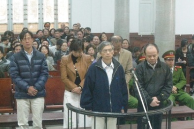 Gần 200 tỷ đồng mất trắng trong phi vụ lừa bán 81.000 m2 'đất vẽ'